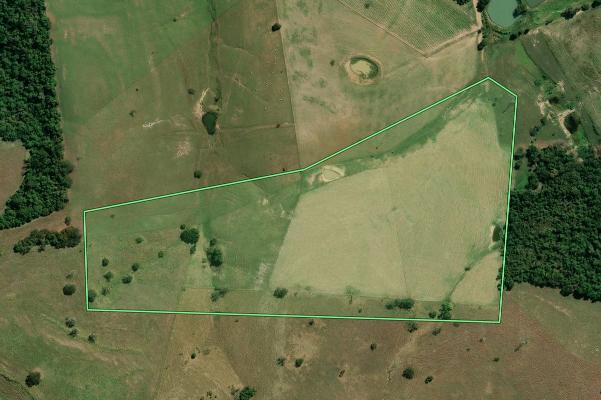 Imagem de satélite do imóvel rural em Santo Antônio da Platina (PR), com o contorno declarado no CAR desenhado por cima.