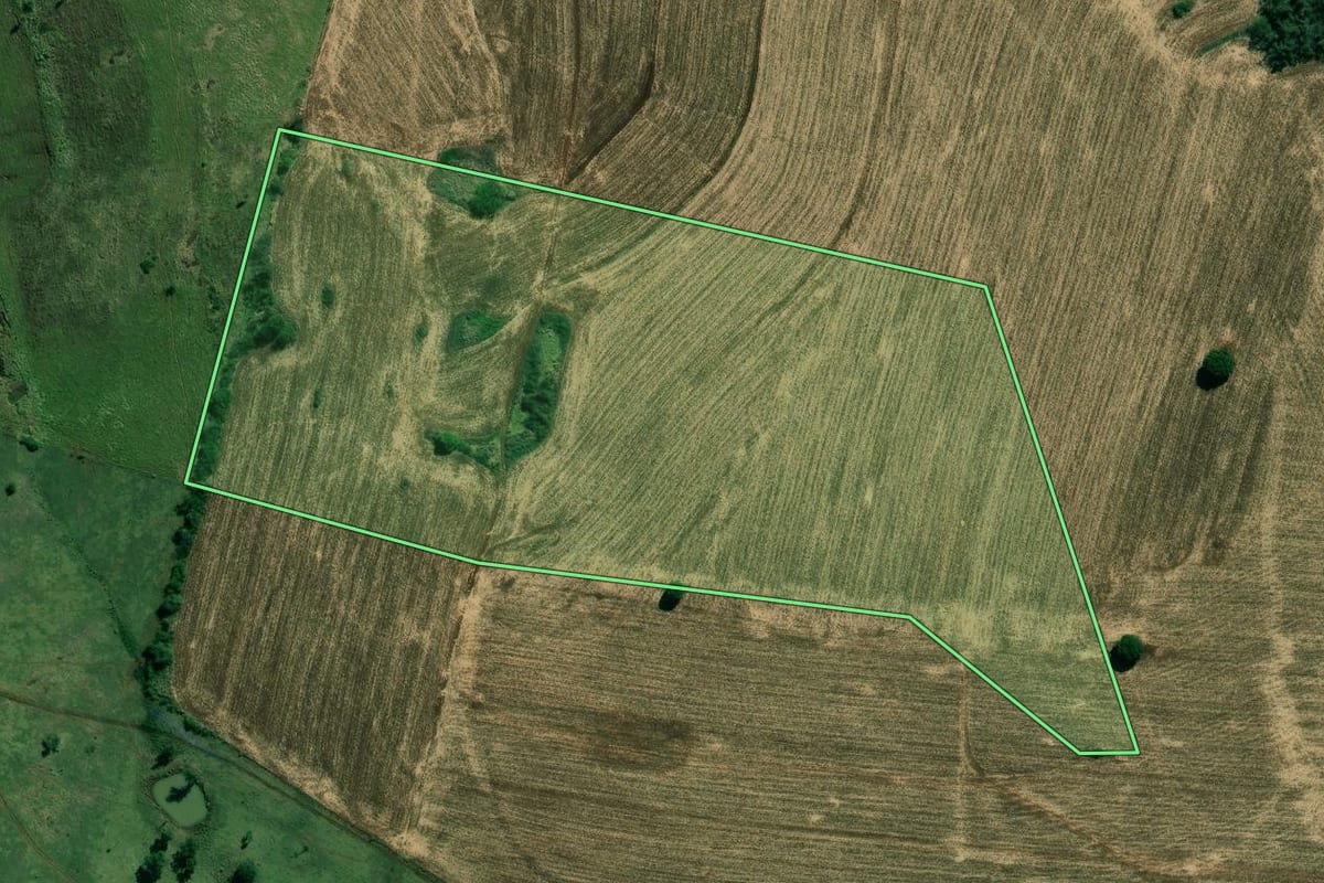 Imagem de satélite do imóvel rural em Santo Antônio da Platina (PR), com o contorno declarado no CAR desenhado por cima.