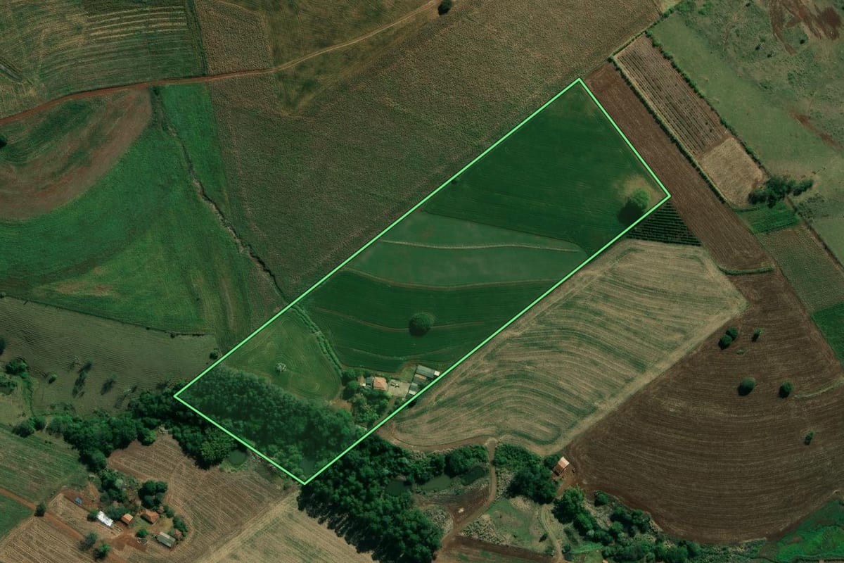 Imagem de satélite do imóvel rural em Santo Antônio da Platina (PR), com o contorno declarado no CAR desenhado por cima.