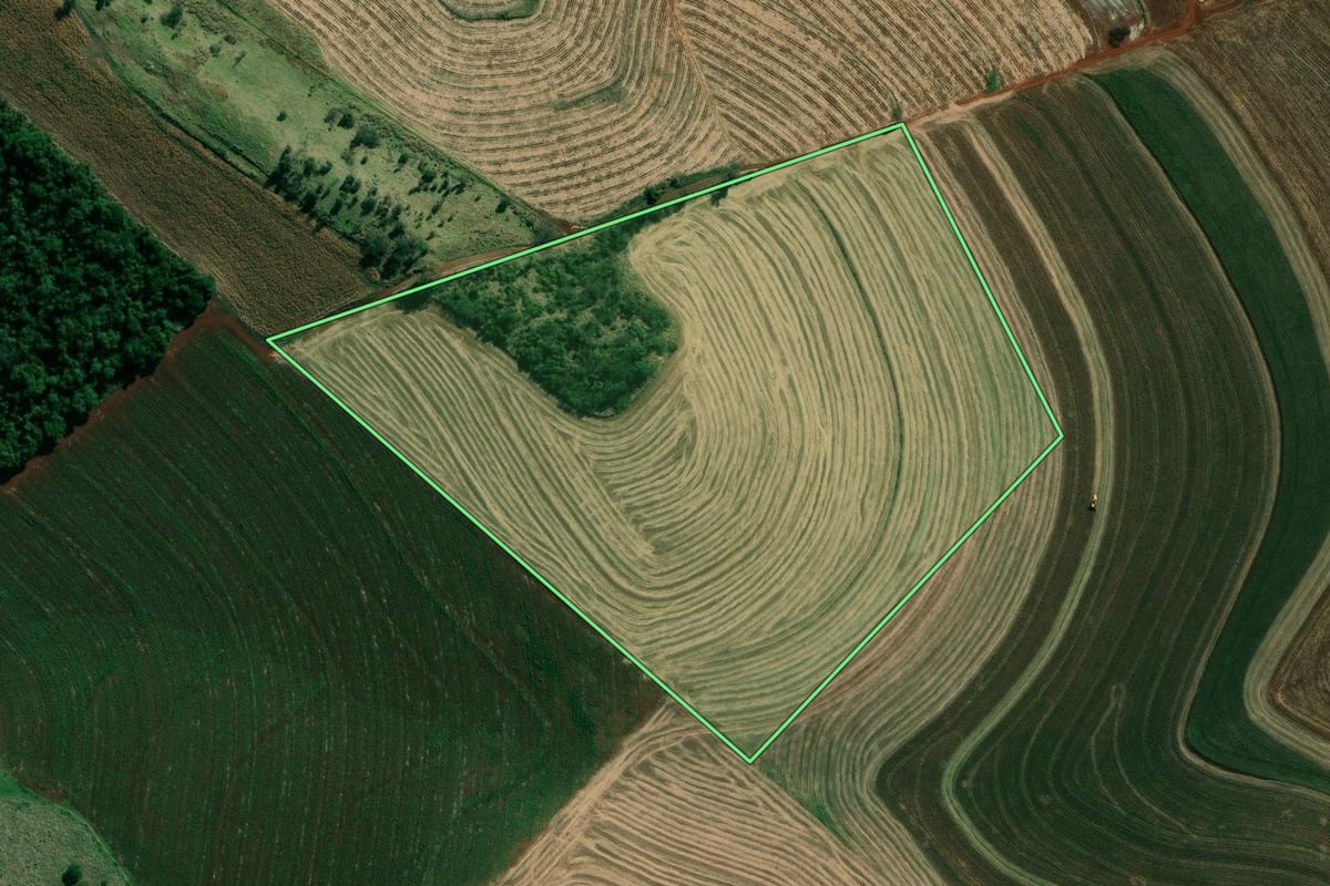 Imagem de satélite do imóvel rural em Santo Antônio da Platina (PR), com o contorno declarado no CAR desenhado por cima.