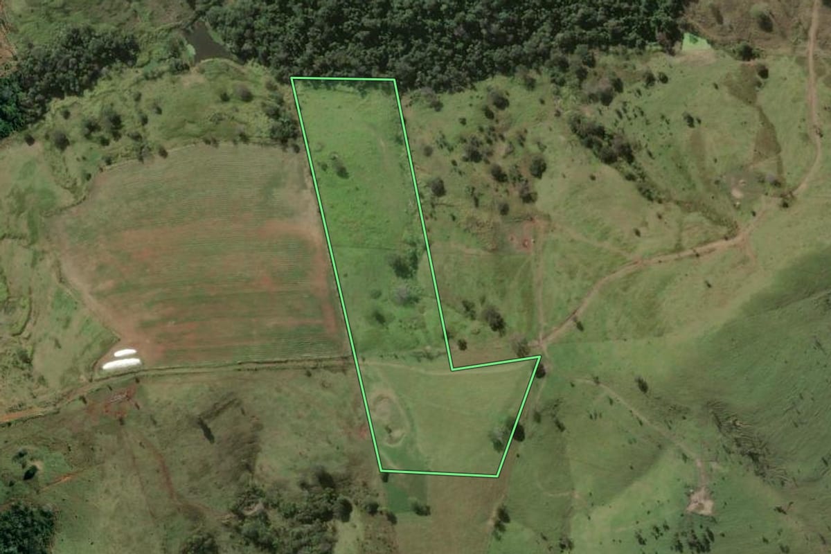 Imagem de satélite do imóvel rural em Santo Antônio da Platina (PR), com o contorno declarado no CAR desenhado por cima.