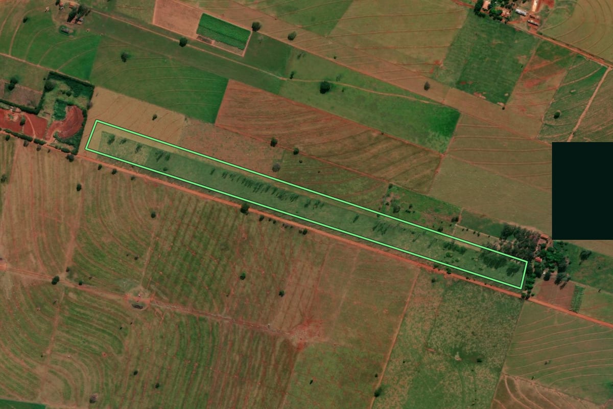 Imagem de satélite do imóvel rural em Santo Antônio do Caiuá (PR), com o contorno declarado no CAR desenhado por cima.