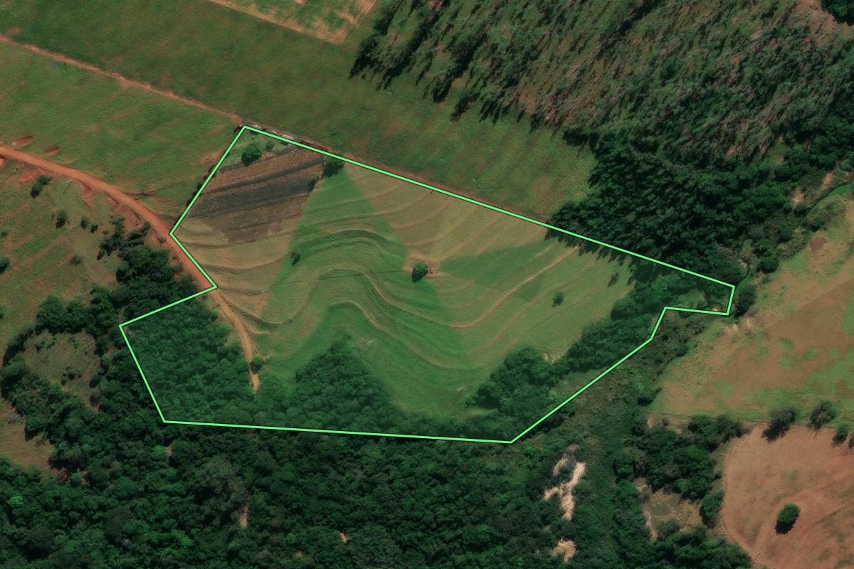 Imagem de satélite do imóvel rural em Santo Antônio do Caiuá (PR), com o contorno declarado no CAR desenhado por cima.