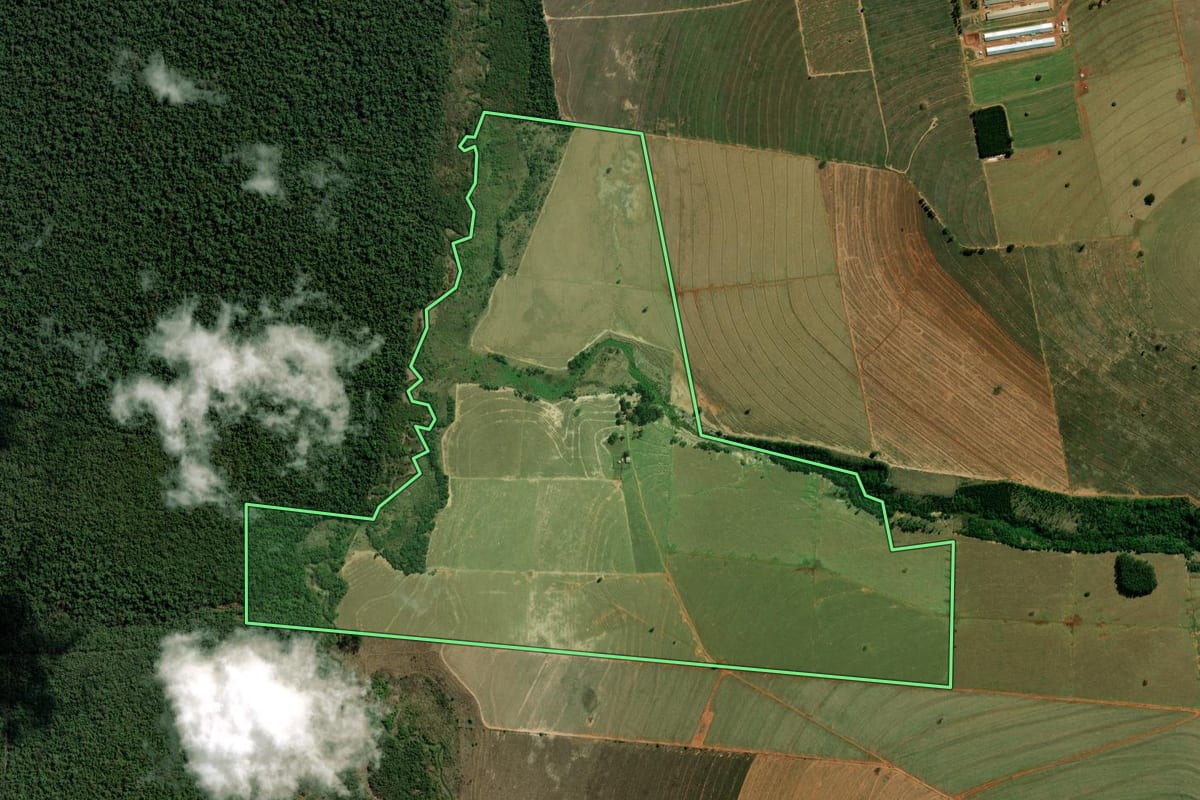 Imagem de satélite do imóvel rural em Santo Antônio do Caiuá (PR), com o contorno declarado no CAR desenhado por cima.