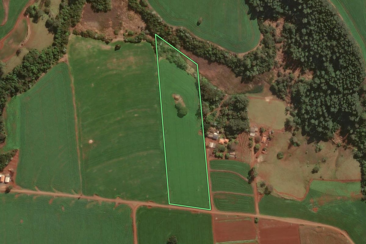 Imagem de satélite do imóvel rural em Santo Antônio do Paraíso (PR), com o contorno declarado no CAR desenhado por cima.
