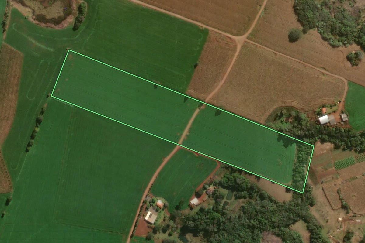 Imagem de satélite do imóvel rural em Santo Antônio do Paraíso (PR), com o contorno declarado no CAR desenhado por cima.