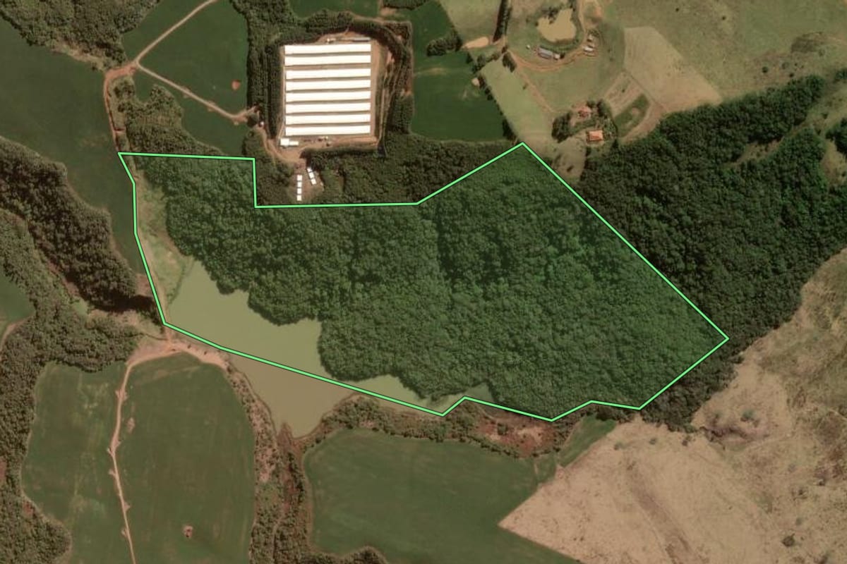 Imagem de satélite do imóvel rural em Santo Antônio do Paraíso (PR), com o contorno declarado no CAR desenhado por cima.