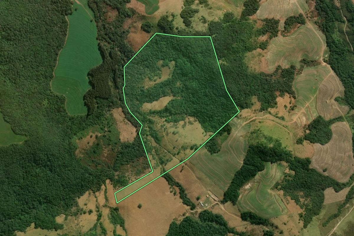 Imagem de satélite do imóvel rural em Santo Antônio do Paraíso (PR), com o contorno declarado no CAR desenhado por cima.