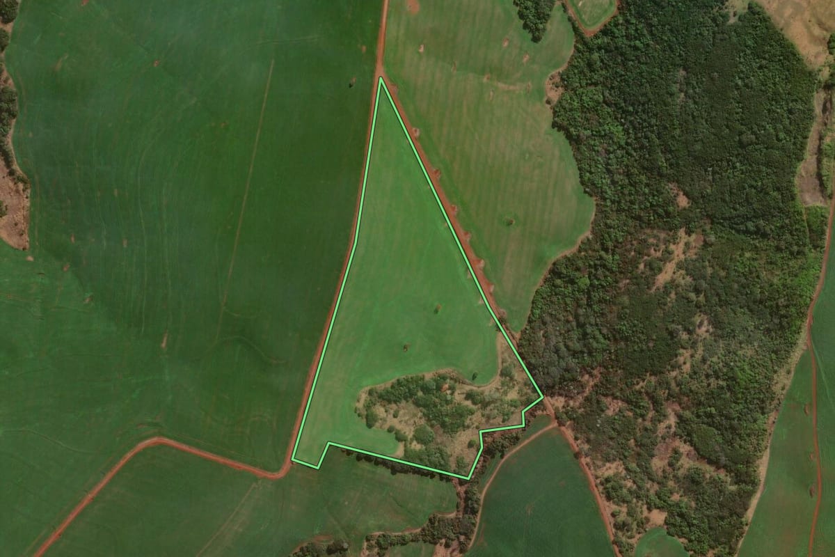Imagem de satélite do imóvel rural em Santo Antônio do Paraíso (PR), com o contorno declarado no CAR desenhado por cima.
