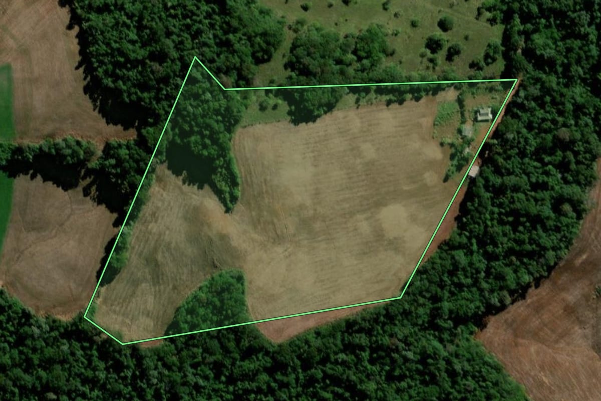 Imagem de satélite do imóvel rural em Santo Antônio do Sudoeste (PR), com o contorno declarado no CAR desenhado por cima.