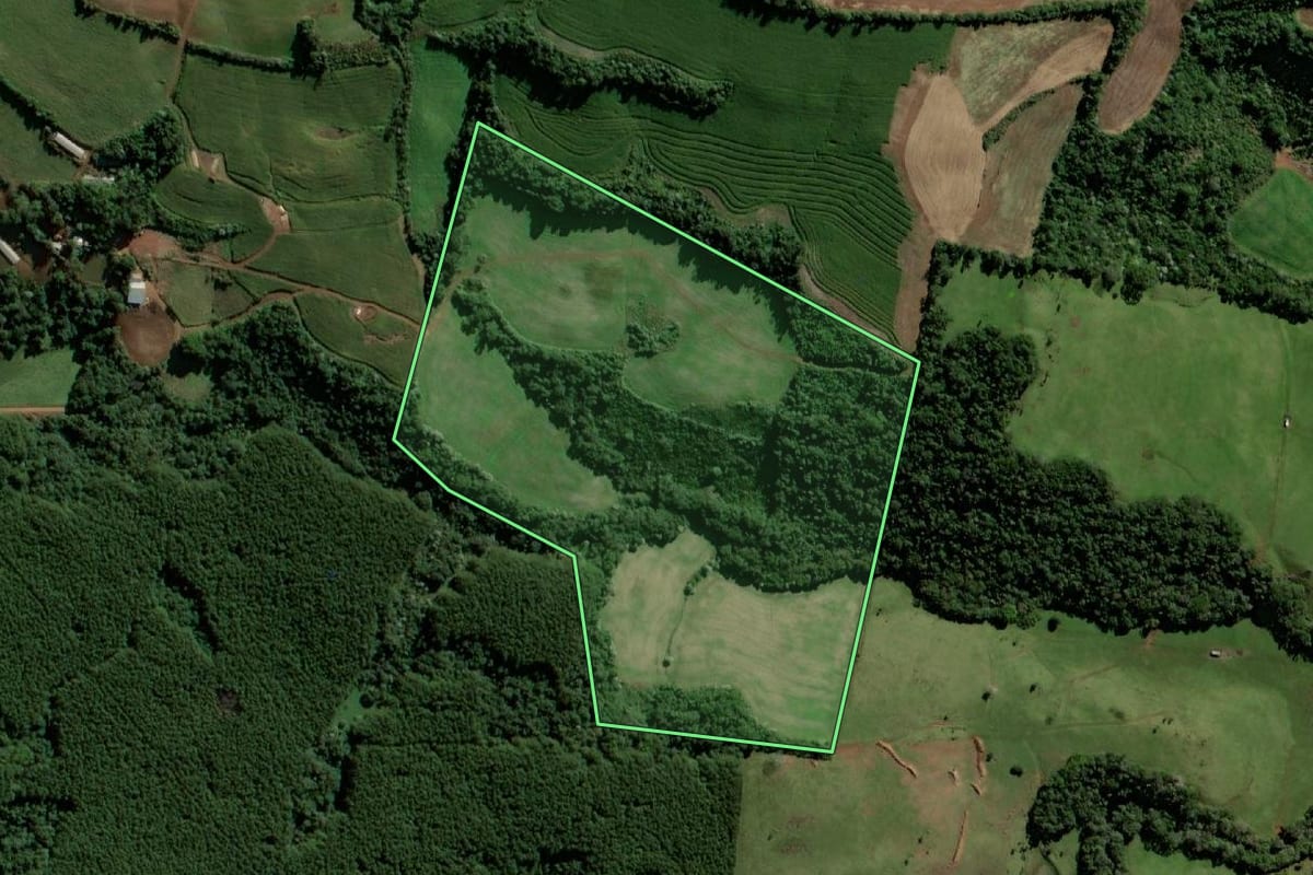 Imagem de satélite do imóvel rural em Santo Antônio do Sudoeste (PR), com o contorno declarado no CAR desenhado por cima.