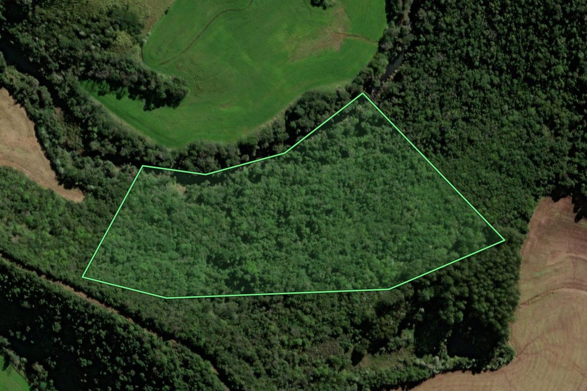 Imagem de satélite do imóvel rural em Santo Antônio do Sudoeste (PR), com o contorno declarado no CAR desenhado por cima.