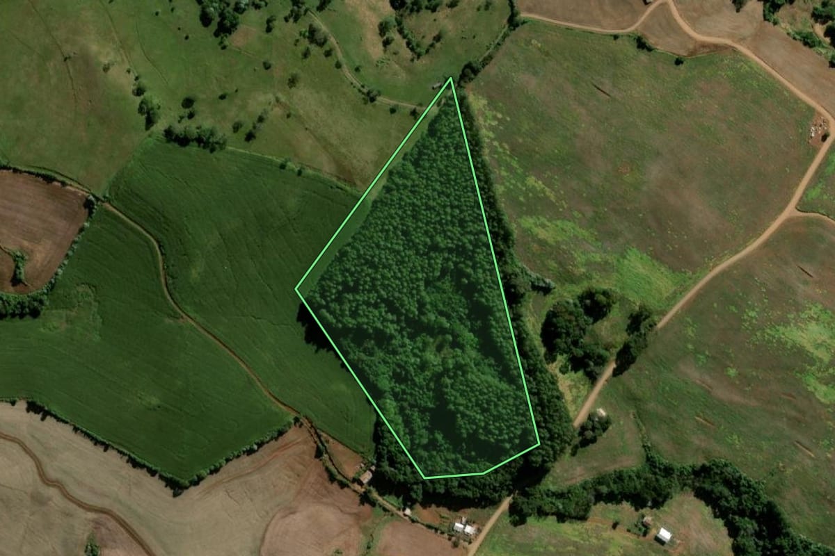 Imagem de satélite do imóvel rural em Santo Antônio do Sudoeste (PR), com o contorno declarado no CAR desenhado por cima.