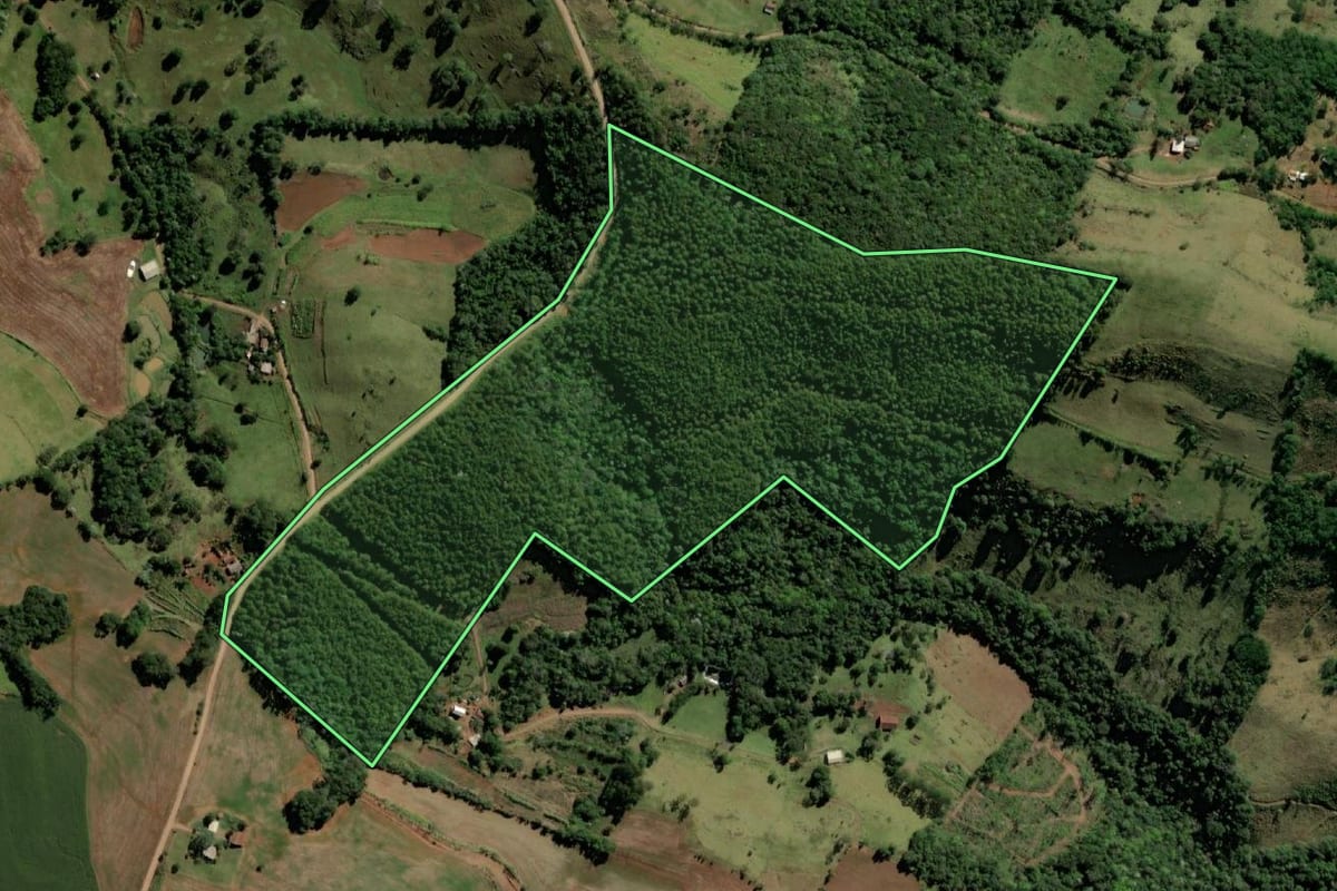 Imagem de satélite do imóvel rural em Santo Antônio do Sudoeste (PR), com o contorno declarado no CAR desenhado por cima.