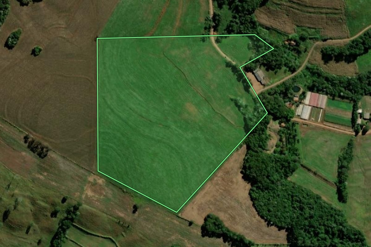 Imagem de satélite do imóvel rural em Santo Antônio do Sudoeste (PR), com o contorno declarado no CAR desenhado por cima.