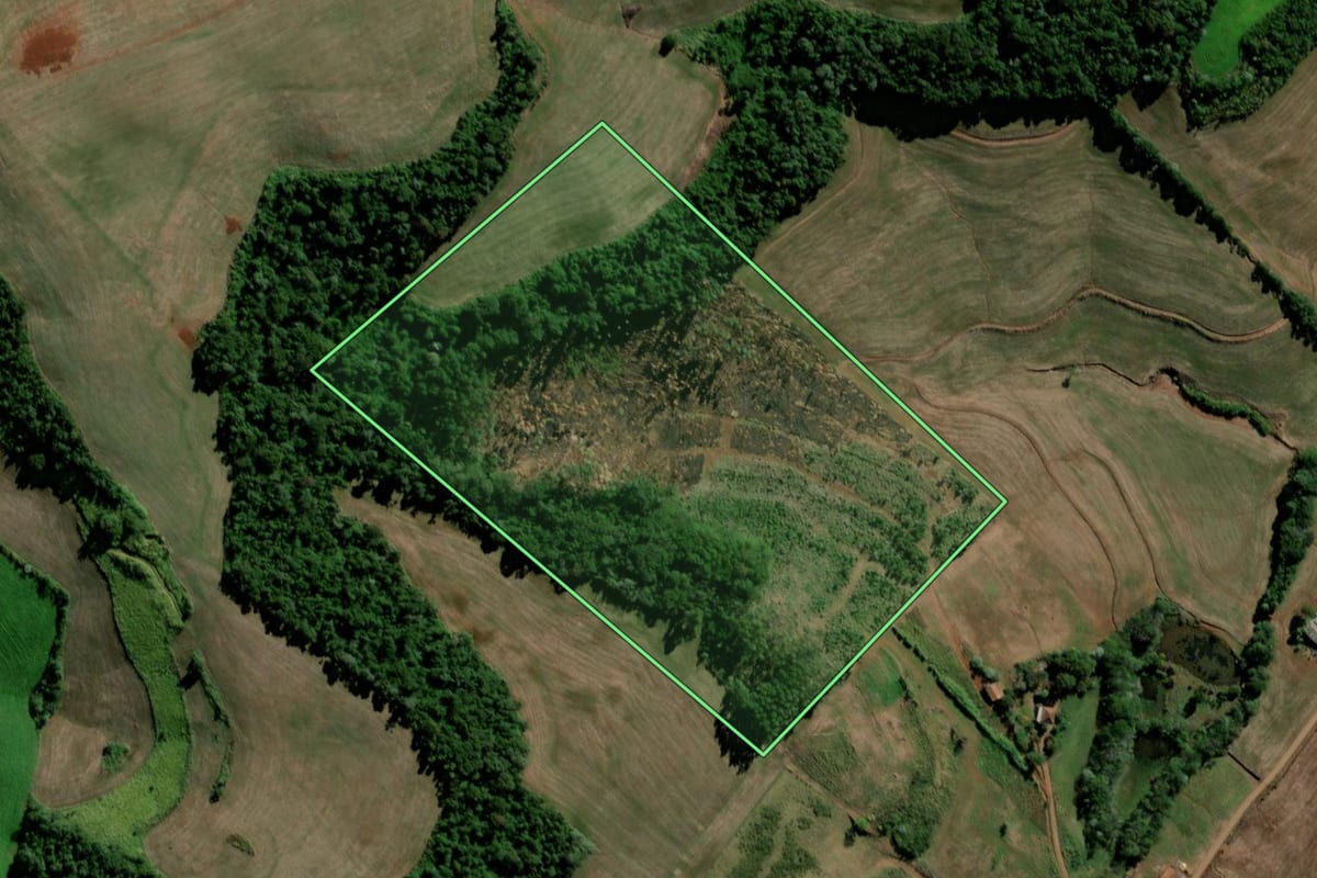 Imagem de satélite do imóvel rural em Santo Antônio do Sudoeste (PR), com o contorno declarado no CAR desenhado por cima.