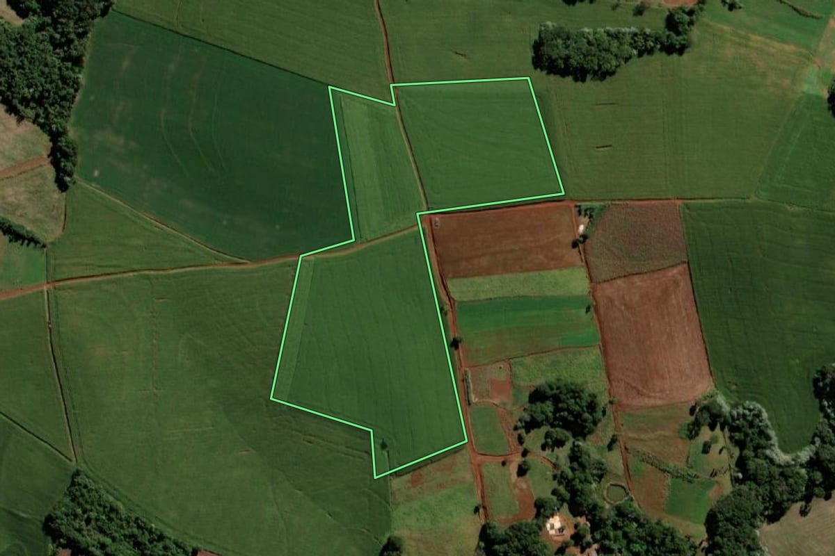 Imagem de satélite do imóvel rural em Santo Antônio do Sudoeste (PR), com o contorno declarado no CAR desenhado por cima.