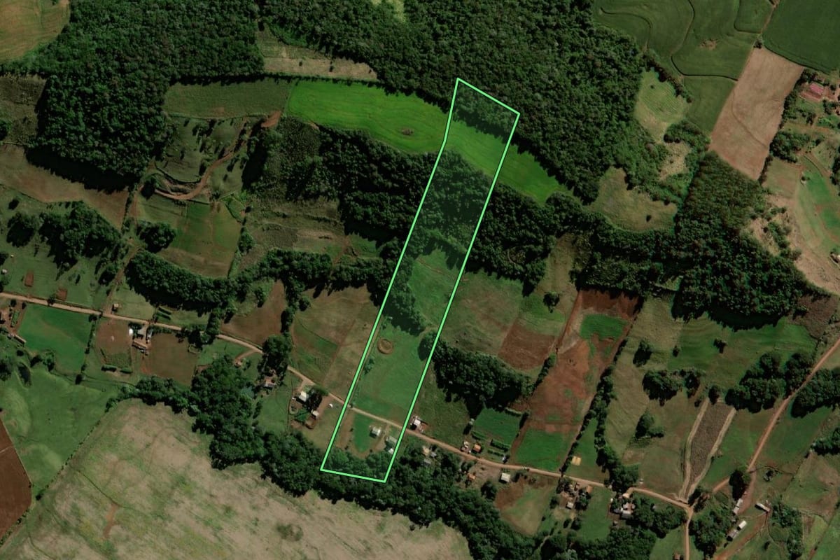 Imagem de satélite do imóvel rural em Santo Antônio do Sudoeste (PR), com o contorno declarado no CAR desenhado por cima.