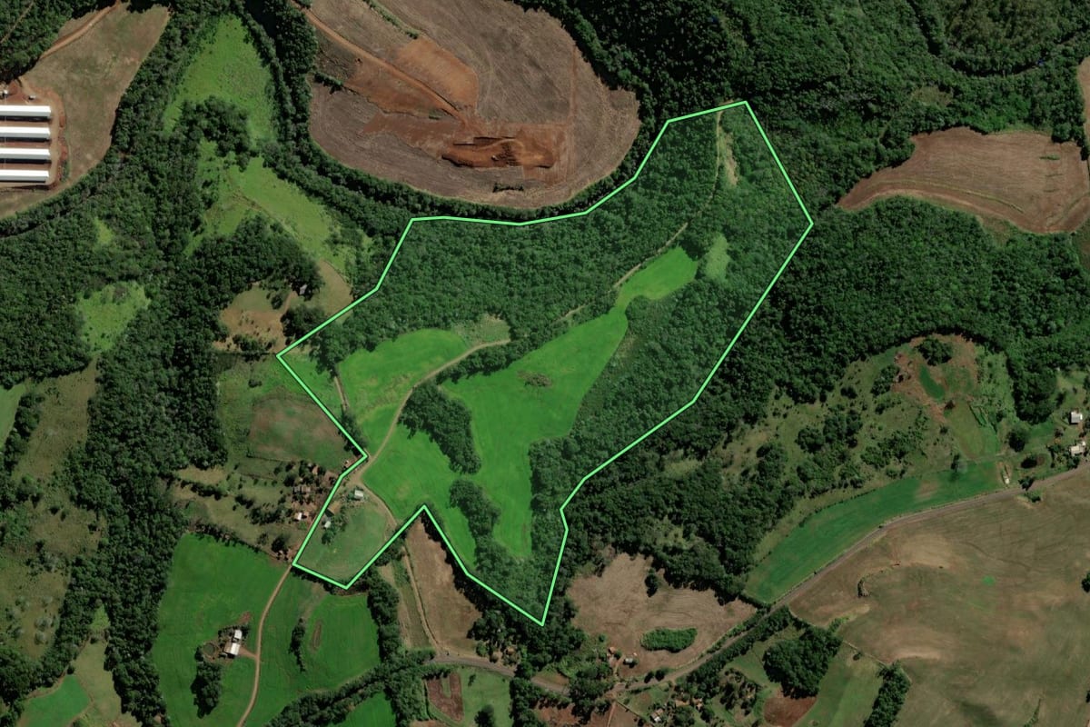 Imagem de satélite do imóvel rural em Santo Antônio do Sudoeste (PR), com o contorno declarado no CAR desenhado por cima.