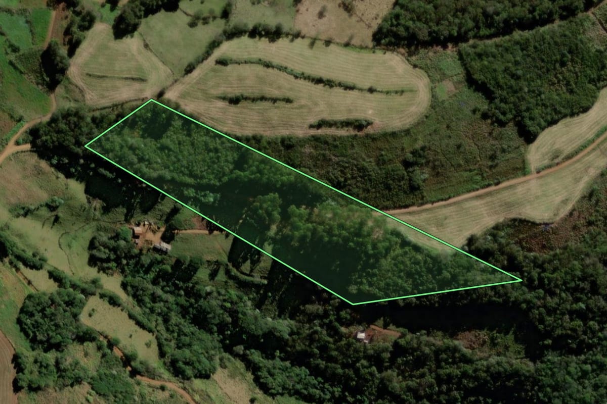 Imagem de satélite do imóvel rural em Santo Antônio do Sudoeste (PR), com o contorno declarado no CAR desenhado por cima.