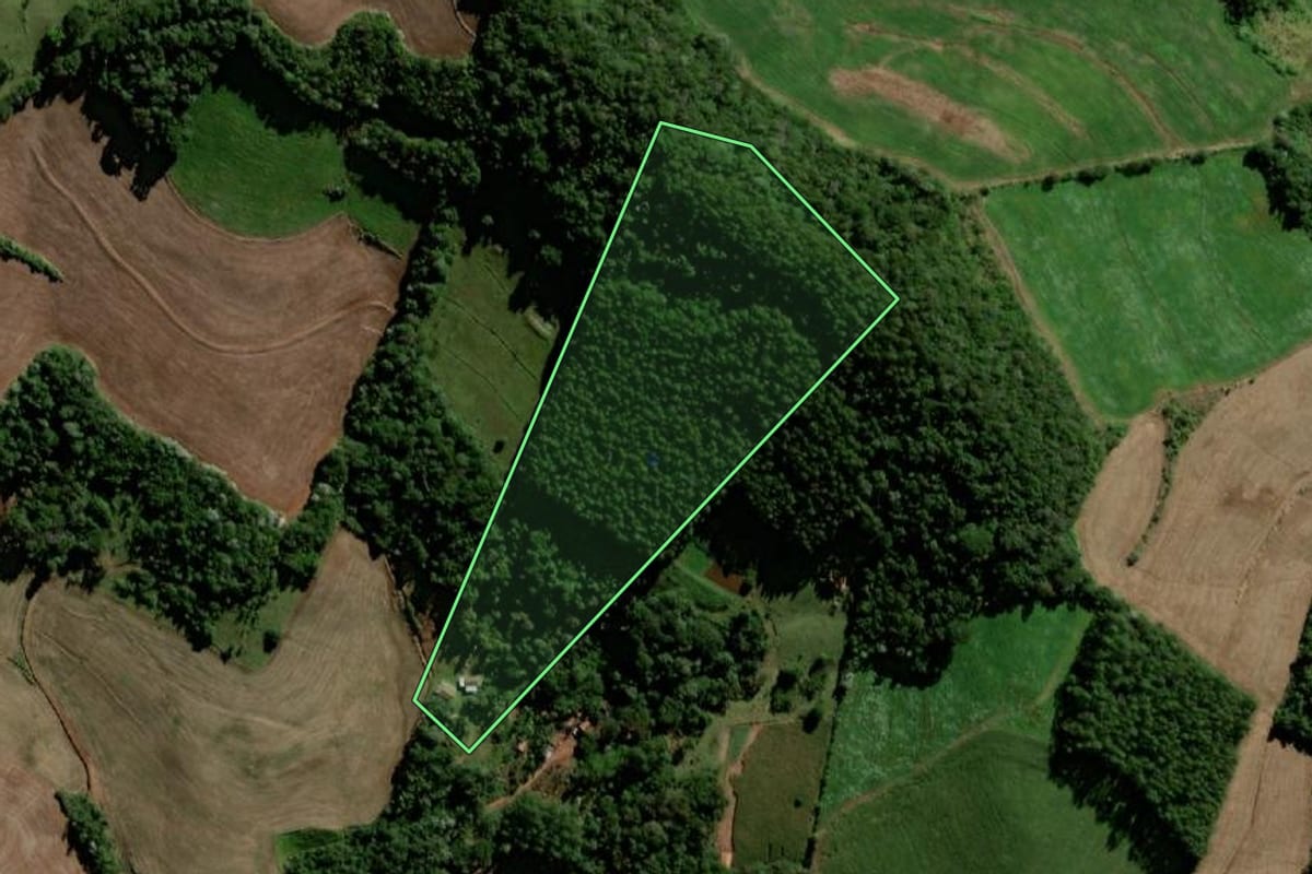 Imagem de satélite do imóvel rural em Santo Antônio do Sudoeste (PR), com o contorno declarado no CAR desenhado por cima.