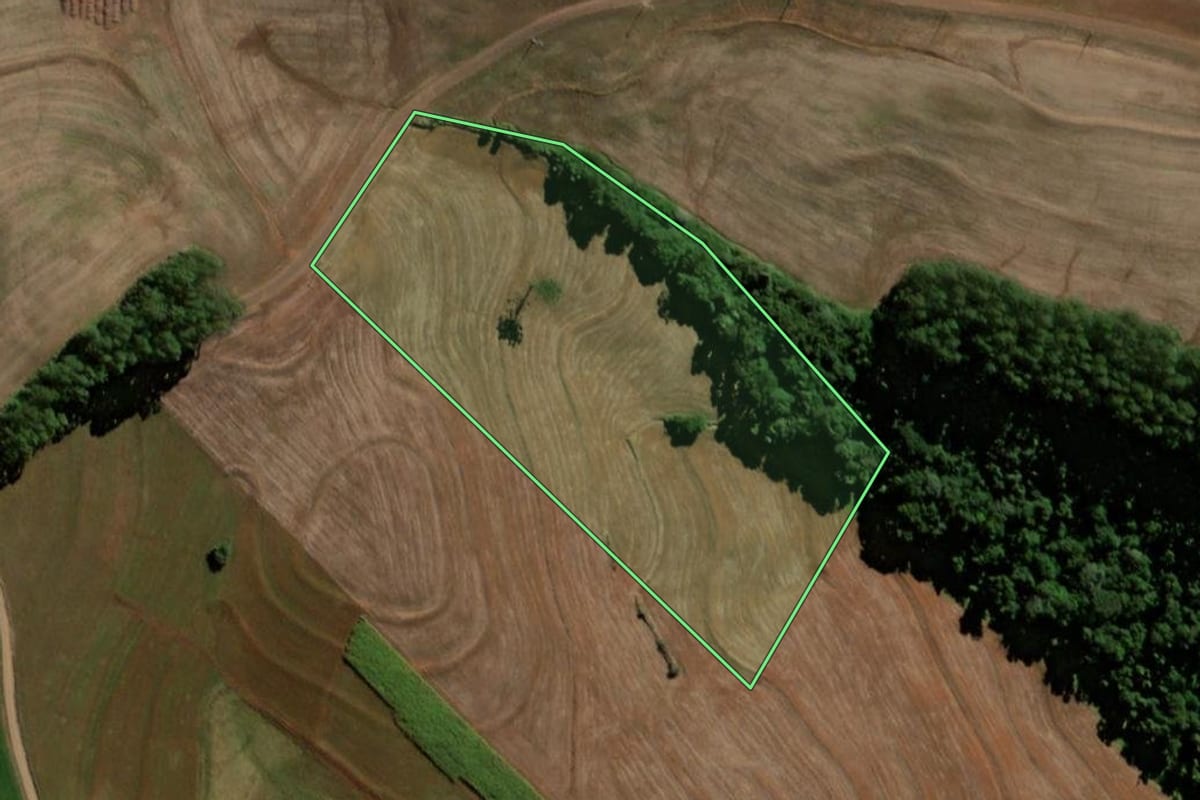Imagem de satélite do imóvel rural em Santo Antônio do Sudoeste (PR), com o contorno declarado no CAR desenhado por cima.