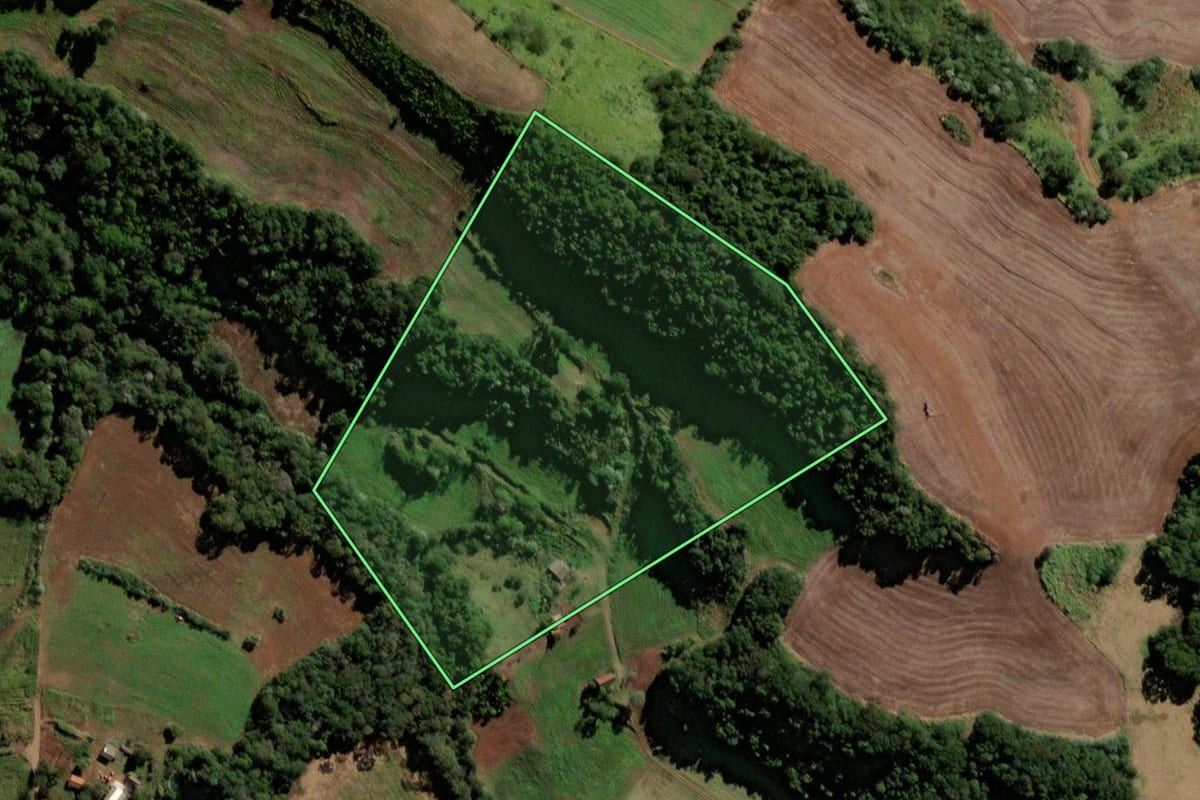 Imagem de satélite do imóvel rural em Santo Antônio do Sudoeste (PR), com o contorno declarado no CAR desenhado por cima.