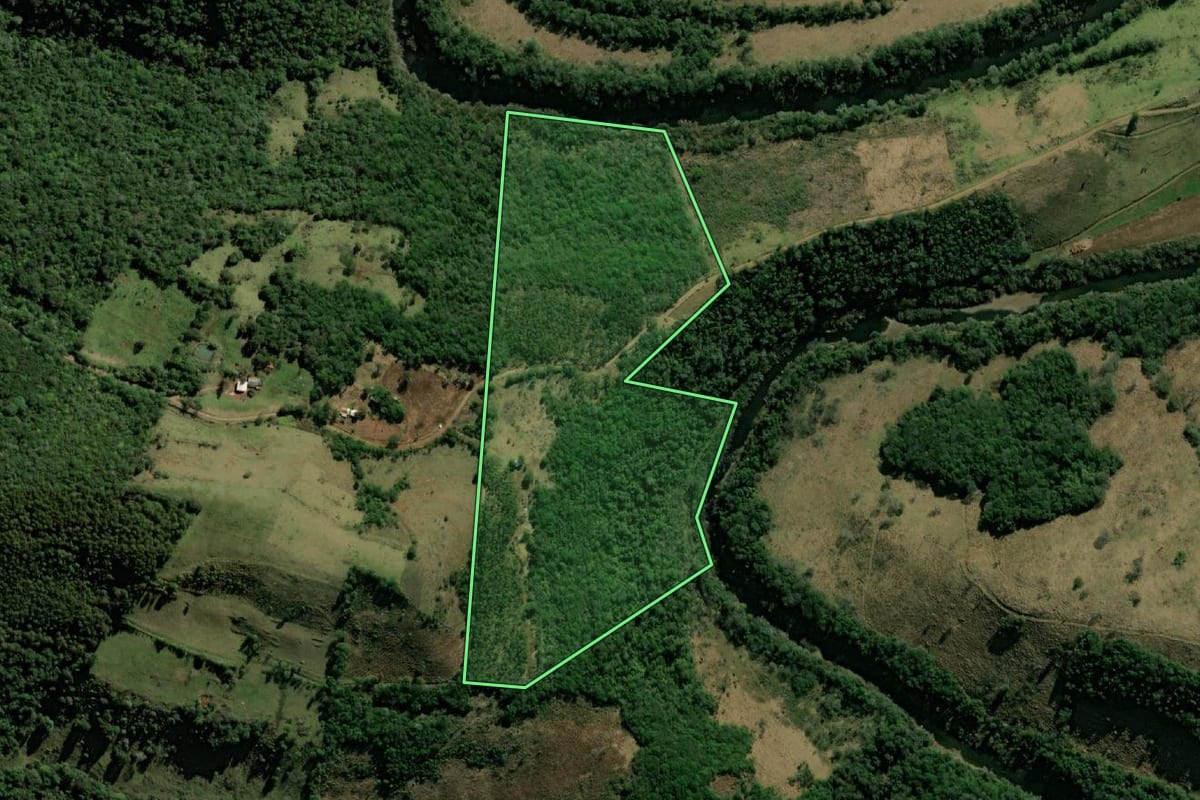 Imagem de satélite do imóvel rural em Santo Antônio do Sudoeste (PR), com o contorno declarado no CAR desenhado por cima.