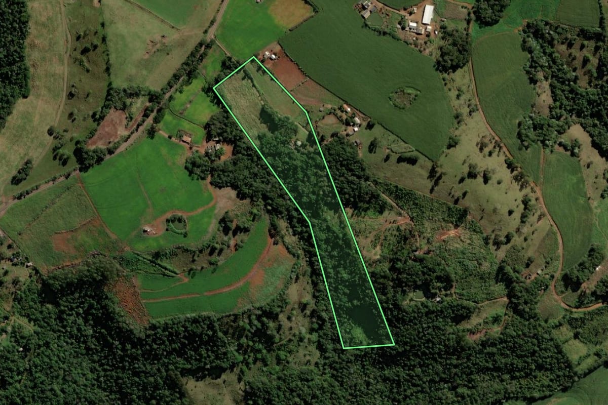 Imagem de satélite do imóvel rural em Santo Antônio do Sudoeste (PR), com o contorno declarado no CAR desenhado por cima.