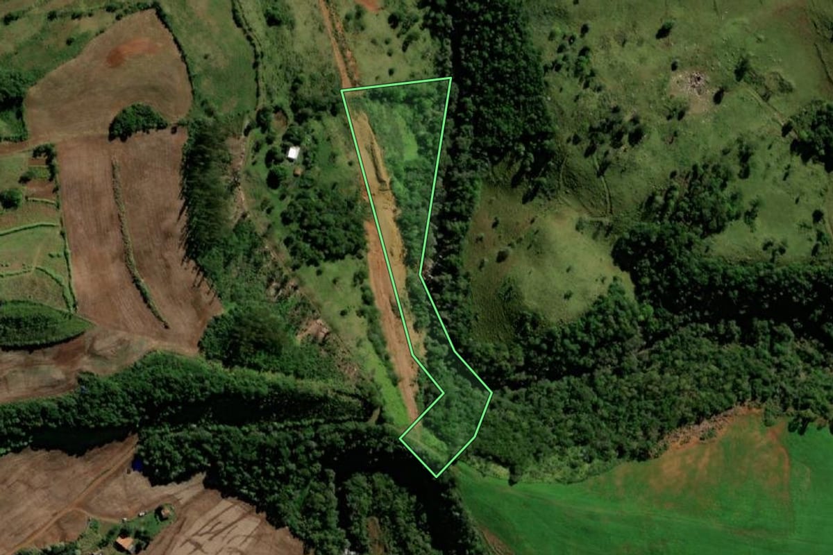 Imagem de satélite do imóvel rural em Santo Antônio do Sudoeste (PR), com o contorno declarado no CAR desenhado por cima.