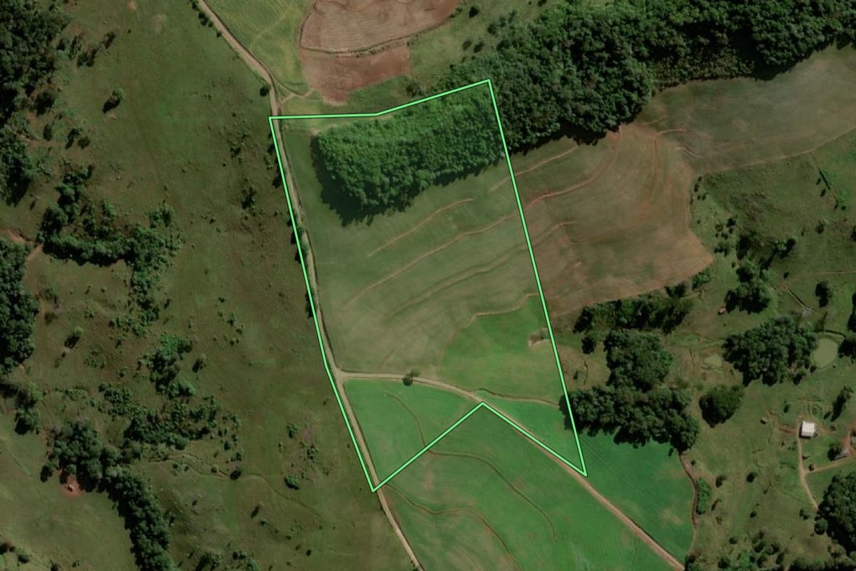 Imagem de satélite do imóvel rural em Santo Antônio do Sudoeste (PR), com o contorno declarado no CAR desenhado por cima.