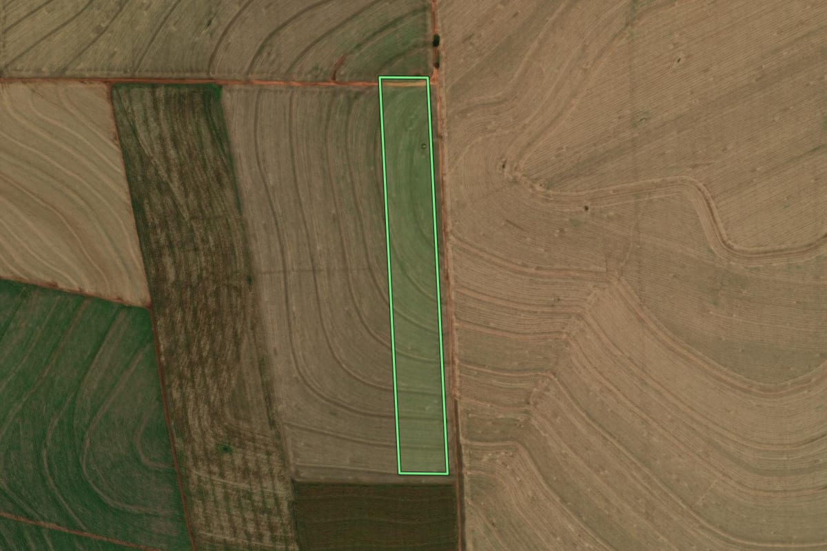 Imagem de satélite do imóvel rural em São Carlos do Ivaí (PR), com o contorno declarado no CAR desenhado por cima.