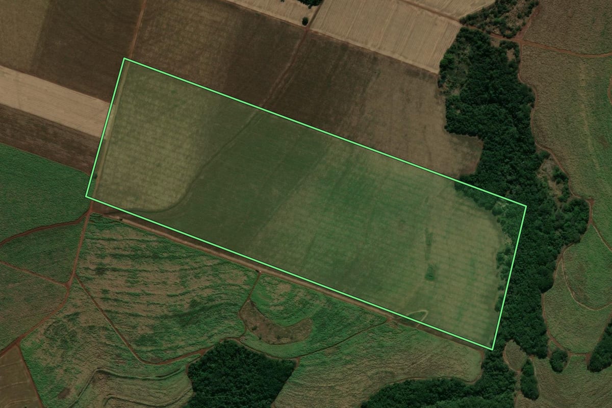 Imagem de satélite do imóvel rural em São Carlos do Ivaí (PR), com o contorno declarado no CAR desenhado por cima.