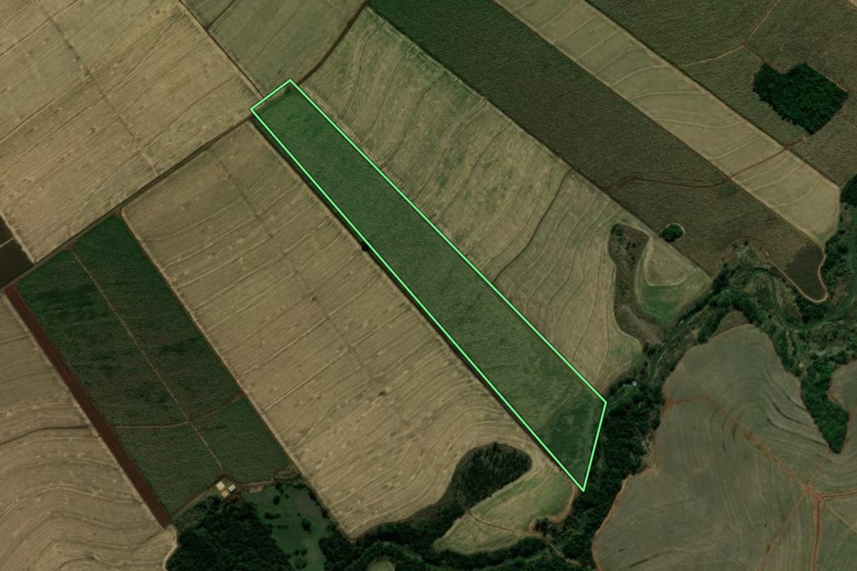 Imagem de satélite do imóvel rural em São Carlos do Ivaí (PR), com o contorno declarado no CAR desenhado por cima.