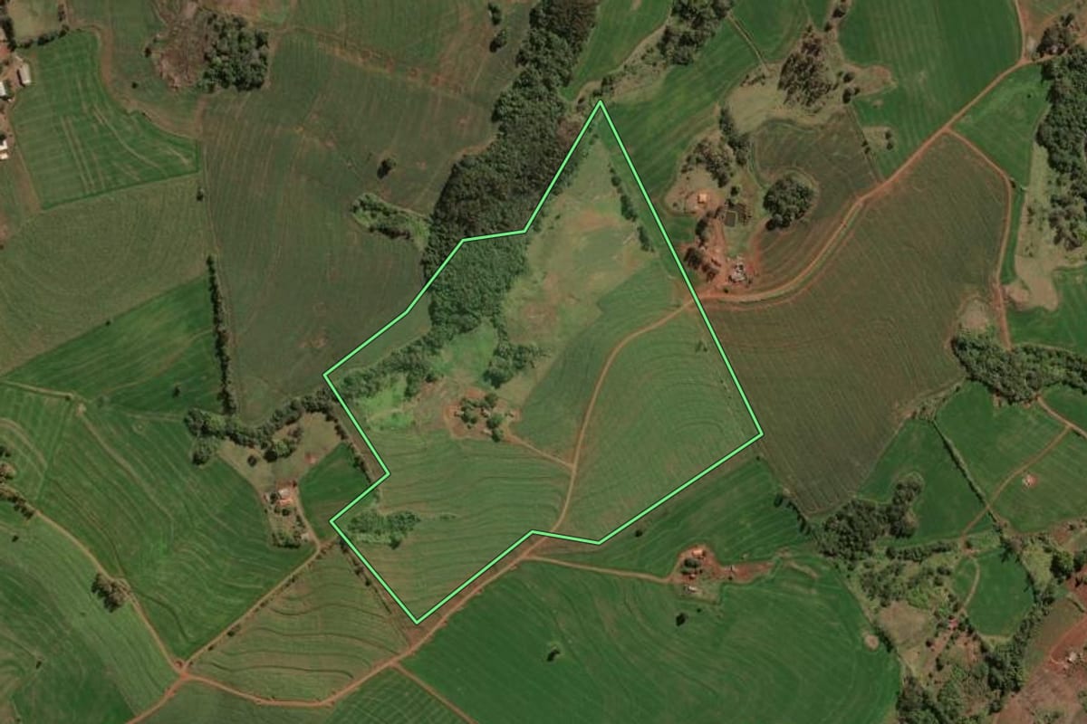 Imagem de satélite do imóvel rural em São Jerônimo da Serra (PR), com o contorno declarado no CAR desenhado por cima.