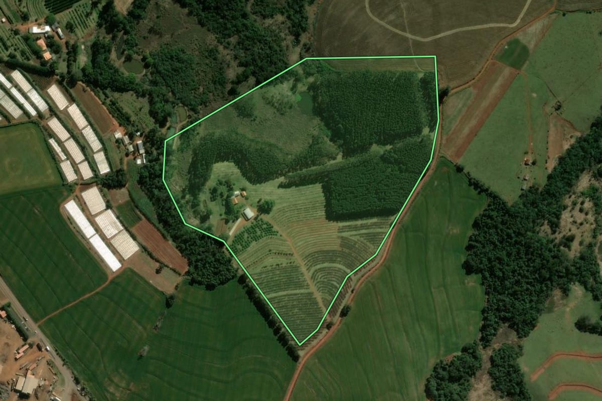 Imagem de satélite do imóvel rural em São Jerônimo da Serra (PR), com o contorno declarado no CAR desenhado por cima.