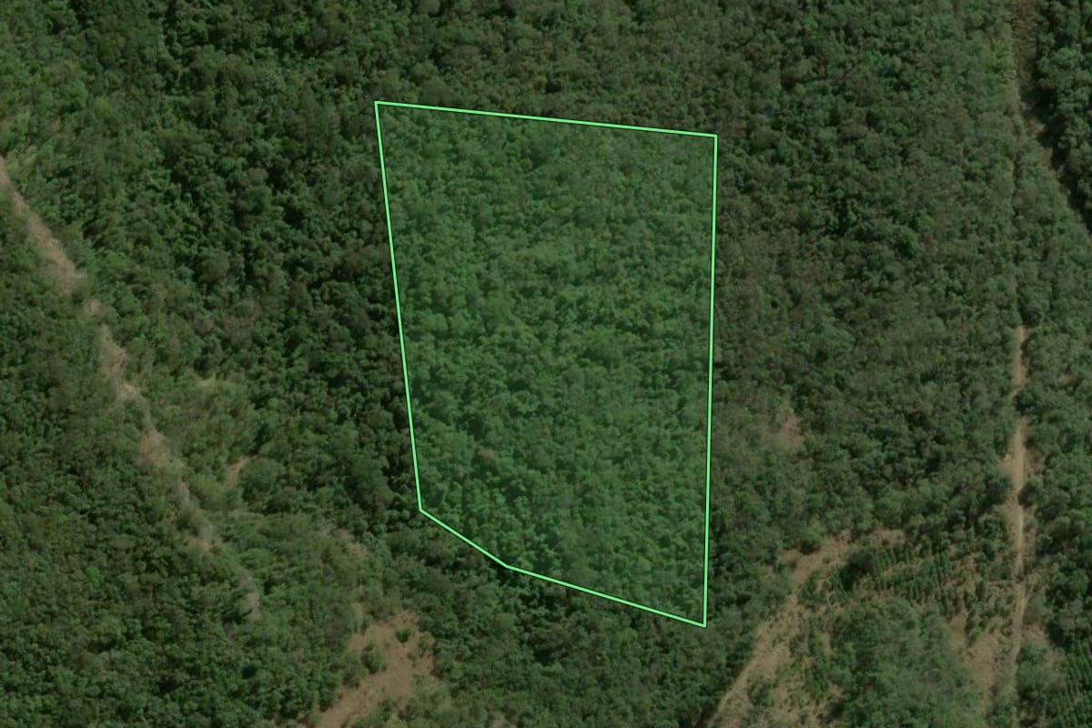 Imagem de satélite do imóvel rural em São Jerônimo da Serra (PR), com o contorno declarado no CAR desenhado por cima.