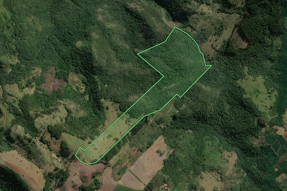 Imagem de satélite do imóvel rural em São Jerônimo da Serra (PR), com o contorno declarado no CAR desenhado por cima.