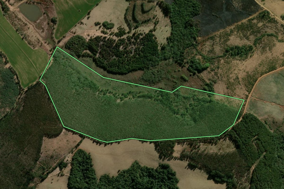 Imagem de satélite do imóvel rural em São Jerônimo da Serra (PR), com o contorno declarado no CAR desenhado por cima.