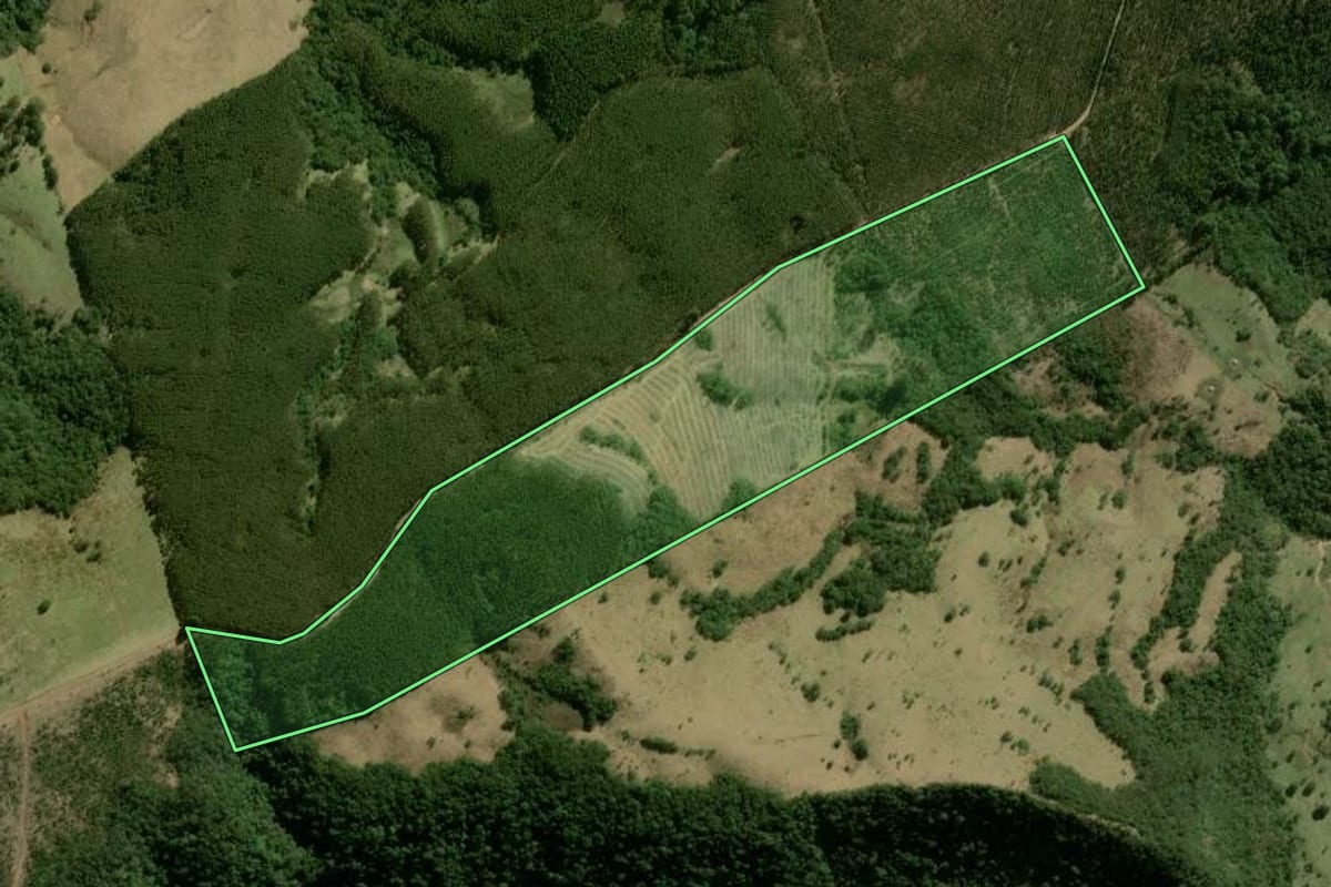 Imagem de satélite do imóvel rural em São Jerônimo da Serra (PR), com o contorno declarado no CAR desenhado por cima.