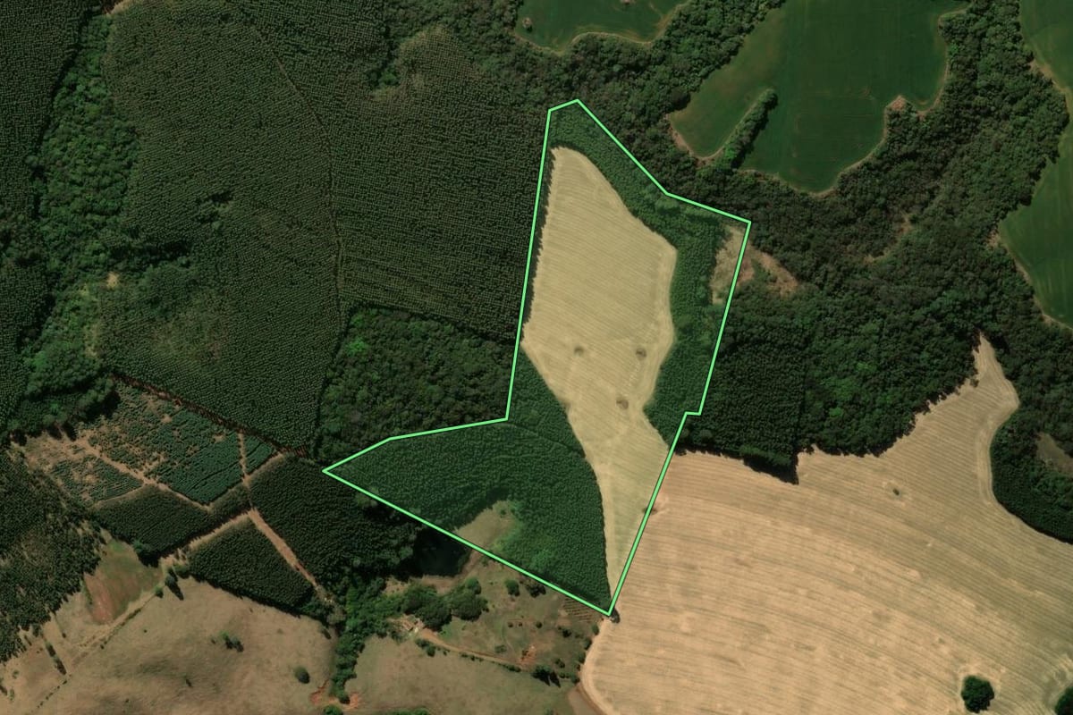 Imagem de satélite do imóvel rural em São Jerônimo da Serra (PR), com o contorno declarado no CAR desenhado por cima.