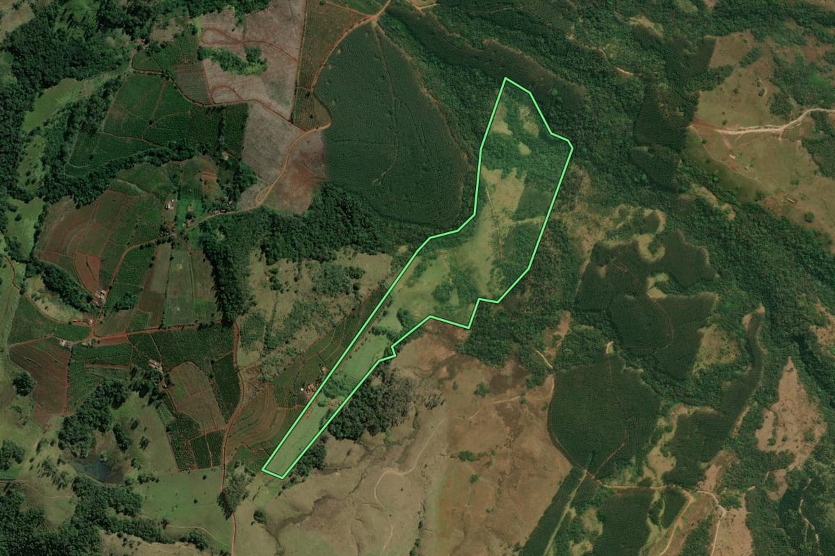 Imagem de satélite do imóvel rural em São Jerônimo da Serra (PR), com o contorno declarado no CAR desenhado por cima.