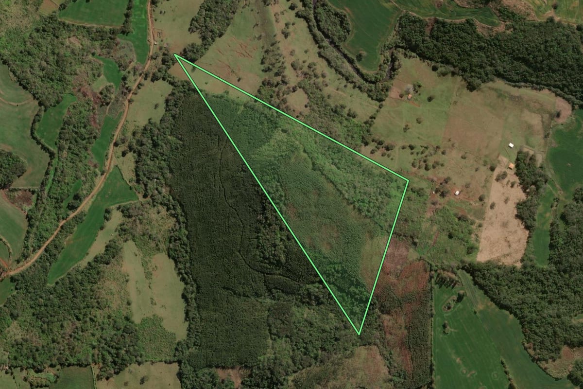 Imagem de satélite do imóvel rural em São Jerônimo da Serra (PR), com o contorno declarado no CAR desenhado por cima.