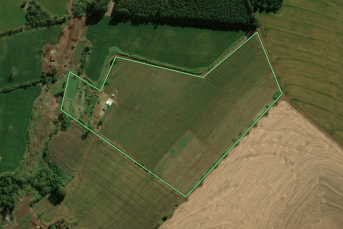 Imagem de satélite do imóvel rural em São Jerônimo da Serra (PR), com o contorno declarado no CAR desenhado por cima.