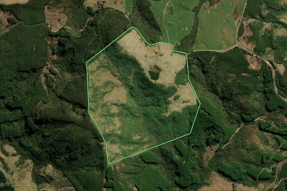 Imagem de satélite do imóvel rural em São Jerônimo da Serra (PR), com o contorno declarado no CAR desenhado por cima.