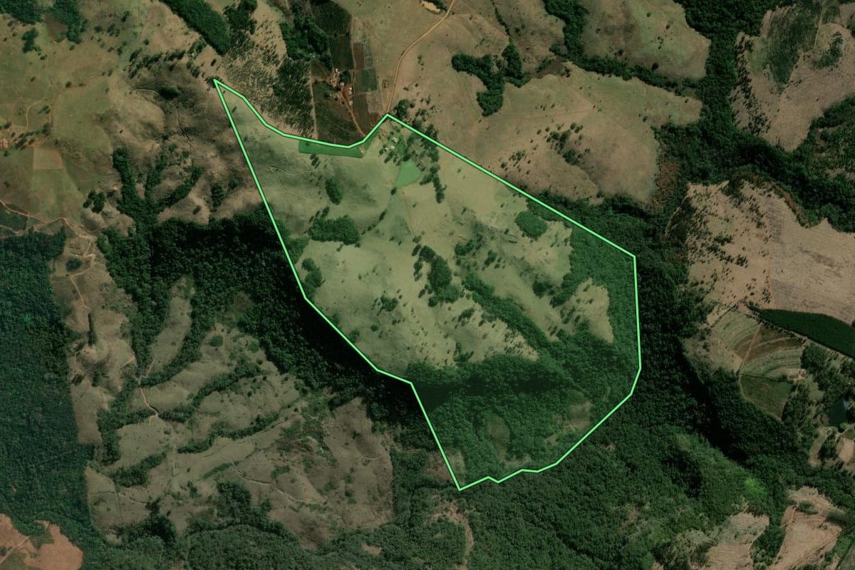 Imagem de satélite do imóvel rural em São Jerônimo da Serra (PR), com o contorno declarado no CAR desenhado por cima.