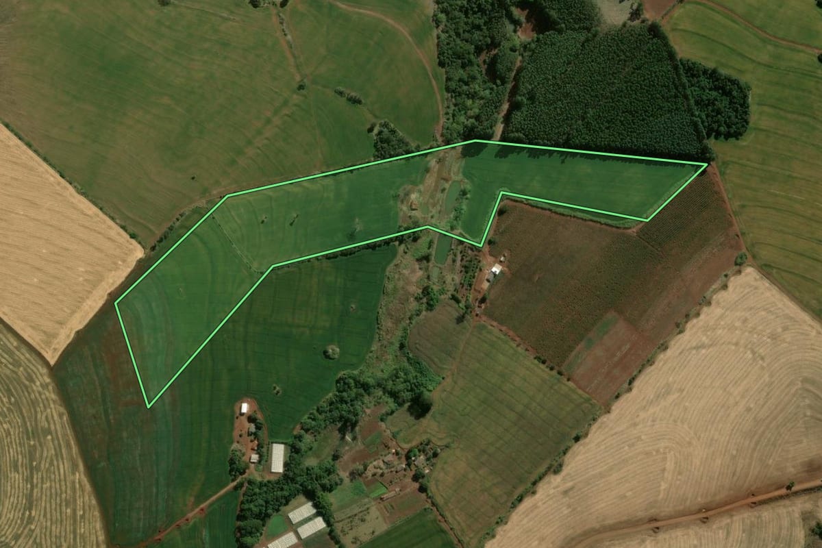 Imagem de satélite do imóvel rural em São Jerônimo da Serra (PR), com o contorno declarado no CAR desenhado por cima.