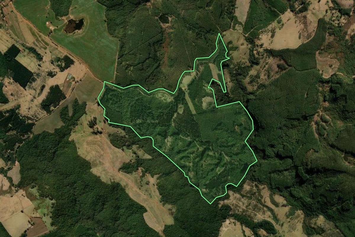 Imagem de satélite do imóvel rural em São Jerônimo da Serra (PR), com o contorno declarado no CAR desenhado por cima.