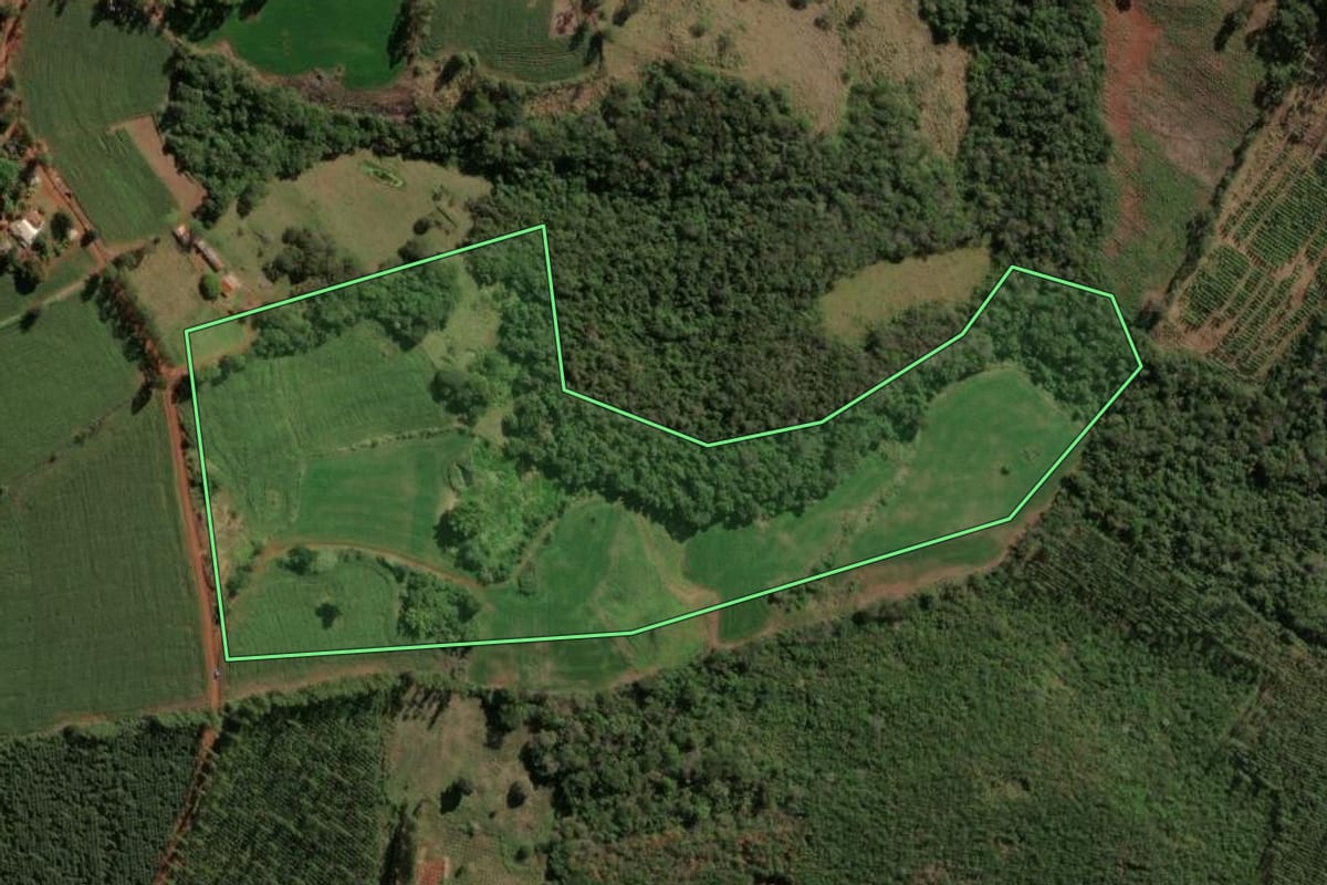Imagem de satélite do imóvel rural em São Jerônimo da Serra (PR), com o contorno declarado no CAR desenhado por cima.