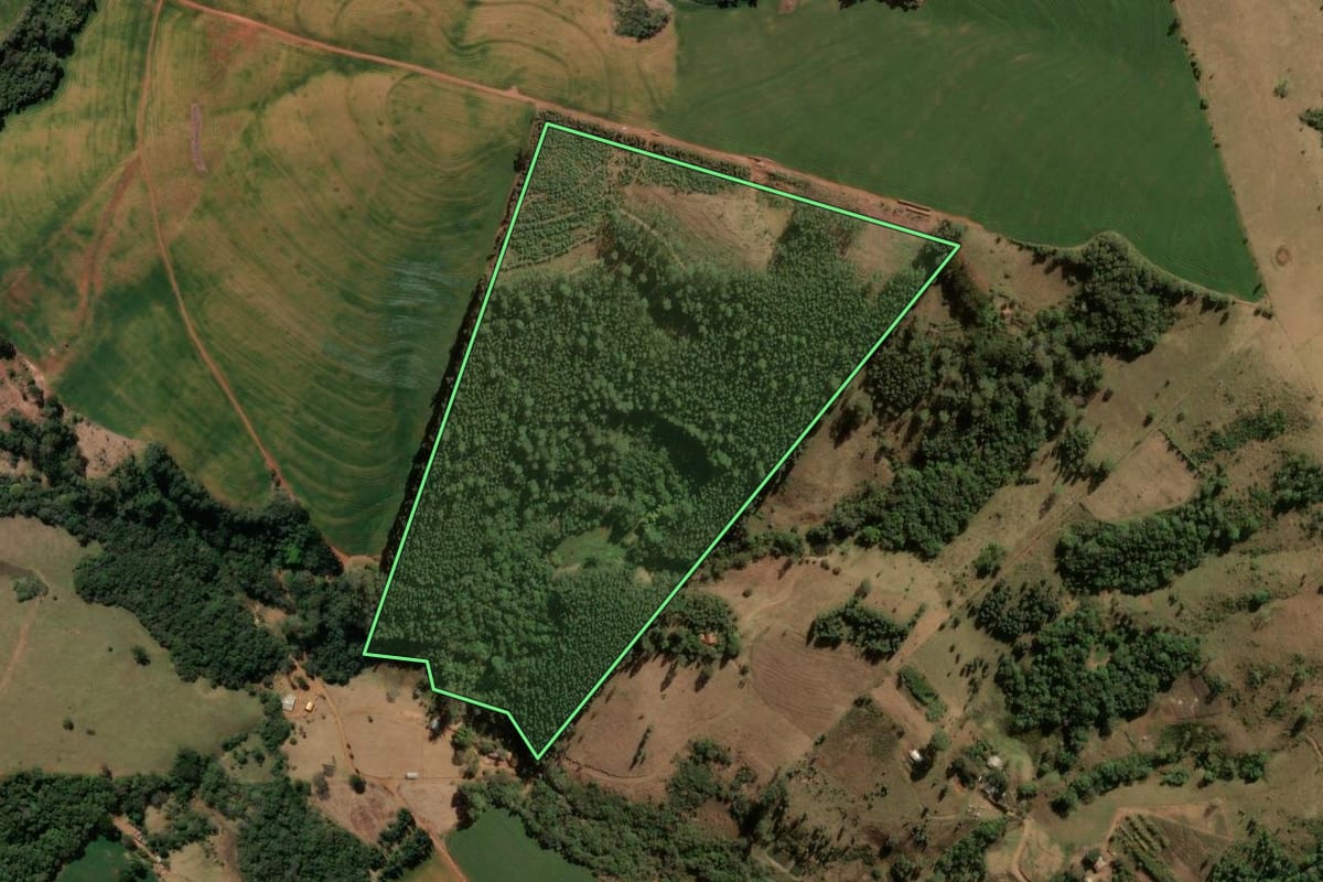 Imagem de satélite do imóvel rural em São Jerônimo da Serra (PR), com o contorno declarado no CAR desenhado por cima.